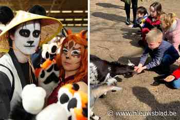 Nog geen plannen tijdens de paasvakantie? Bekijk hier onze tips voor activiteiten in Oost-Vlaanderen