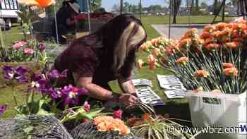 2 Make a Difference: How Flower Fest benefits children's cancer research