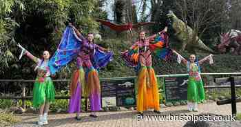 Easter events for the whole family this half term