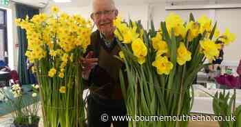 Wimborne Gardening Club spring show a blooming success