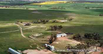 Blacks at Borden offers excellent mixed sheep and crop farming opportunity