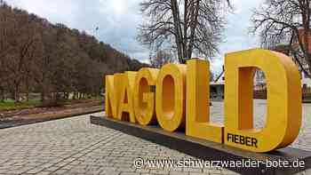 Spaziergang durch Stadt und Fluss: Wie ich das erste Mal Nagold entdeckte