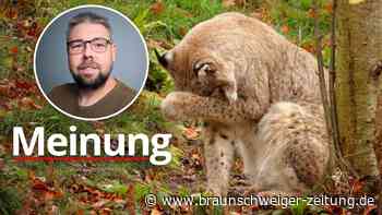 Das ist doch Scheiße! Hab ich etwa einen Luchs im Garten?