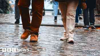 Pedestrianisation plans delayed by 'austerity' would cost &pound;5k