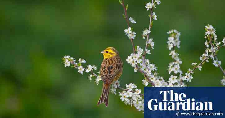 Farmers in England fear for nature after sustainable farming funding frozen