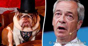 PETA calls on Nigel Farage to stop using bulldogs for Reform UK campaigns