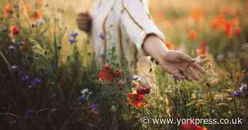 Is it illegal to pick flowers in the UK? Law expert issues warning