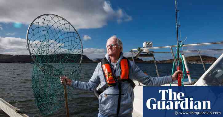 AI scanning helps Scottish conservation project turn tide for flapper skate