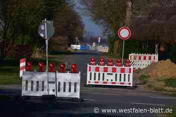 Rückschnitt an der Kreisbahntrasse
