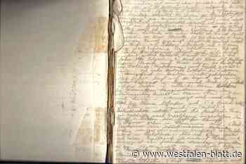 Ein Tagebuch aus dramatischer Zeit