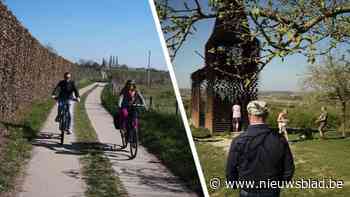 Bloesemtoerisme komt op kruissnelheid in Haspengouw