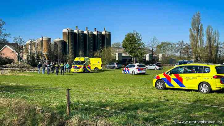 Boom valt na omzagen verkeerde kant op en belandt op man