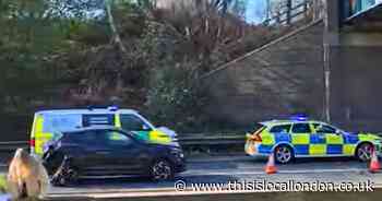 Motorbike rider risks serious leg injury after ‘shocking’ crash on A13 near M25