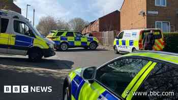 XL Bully flees after armed police try to shoot it