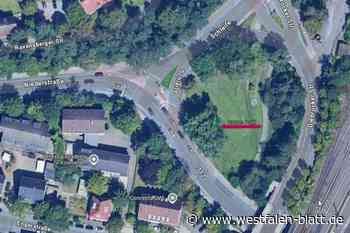 Herford: Rattenpark statt Kurpark