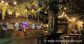 I visited Hull's jungle-themed bar and discovered £2.50 pints among the vines