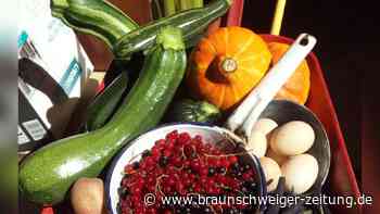 Erfolgreich gärtnern: Tipps für Gemüseanbau in Peine