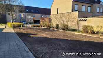 Struiken moeten verhinderen dat pleintje als parkeerplaats wordt gebruikt