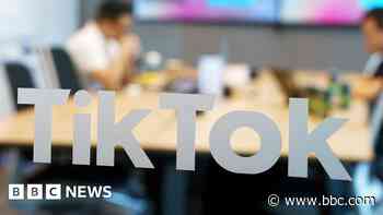 Who‘s trying to buy TikTok?