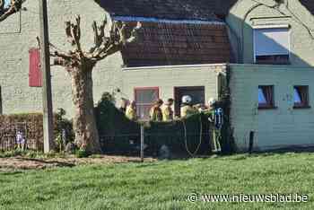 Haag vat vuur bij B&B, uitbaters blussen met tuinslang