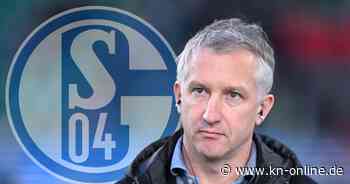 Berichte: Ex-Werder Boss Frank Baumann wird neuer Schalke-Vorstand