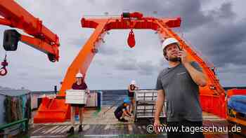 Suche nach unbekannten Arten: Fünf Wochen auf Expedition im Atlantik