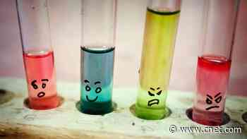 5 Ways To Increase Your Happiness, According to Science