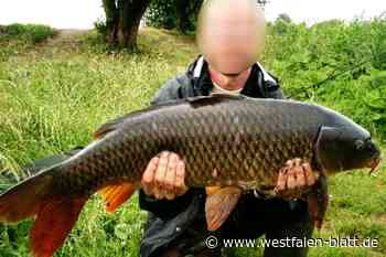 Anlagebetrug? Russlanddeutsche aus Vlotho verliert Altersvorsorge