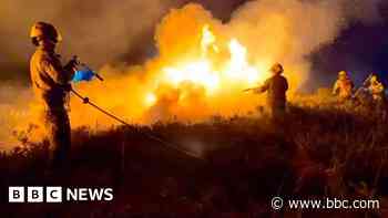 Dramatic video shows firefighters tackle heath fire