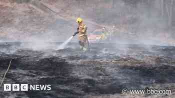 'Human intervention' caused heath wildfires