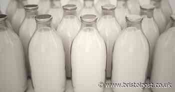 Thieves swipe milk from Bristol doorsteps