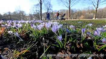 Frühling in Augsburg: Diese Ausflugsziele sind einen Besuch wert