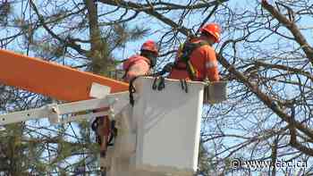 Tens of thousands still without power in Ontario after pair of storms