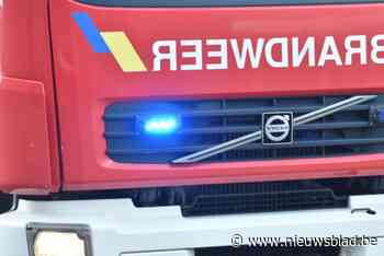 Barbecue loopt fout, tuinhuis brandt af