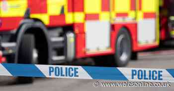 Man and girl, 10, killed in caravan park fire