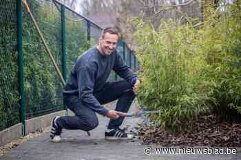 Zo sport zo zonder het te beseffen: “Bukken slecht voor je rug? Integendeel”