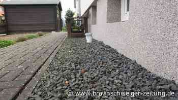 Wie erfolgreich kontrolliert Salzgitter das Schottergarten-Verbot?