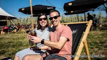 Haspengouw krijgt duizenden bloesemtoeristen over de vloer: “Er is niets mooier dan dit, puur genieten”