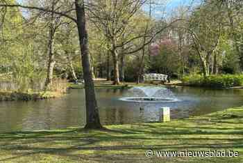 Politieman redt jongetje (2) van verdrinkingsdood na val in vijver van stadspark Lier