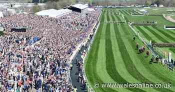 Grand National 2025 full results and finishing places that pay out each way bets