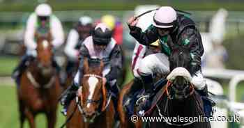 How many horses have died at the Grand National ?