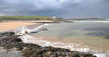 The picturesque Northumberland beach that's a 'seaside star' and one of the best in the UK