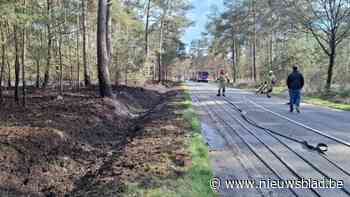 Verschillende aren natuur gaan in vlammen op in Hamont