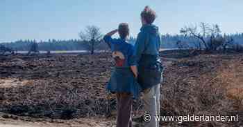 Afgebrande heide trekt wandelaars en fietsers: 'Een beetje ramptoerisme, zo vaak maak je dit niet mee’