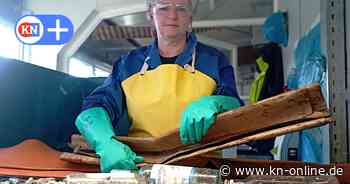 Altglas, Sexspielzeug und Müll: Beim Glasrecycling in Wahlstedt machen Frauen den härtesten Job