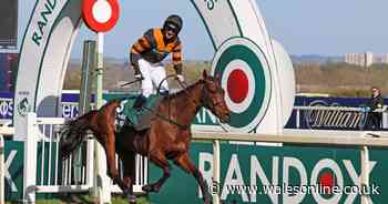 The tragic story behind Grand National 2025 winner Nick Rockett