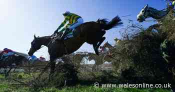 Grand National 2025 fallers: Which horses failed to finish Aintree race?