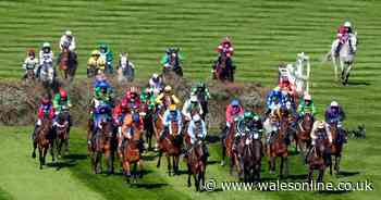 Grand National 2025 result in full: Where did my horse finish in Aintree race?