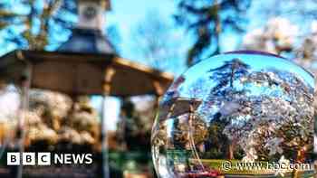 Wiltshire in pictures: Sun, wonky roads and pigeons