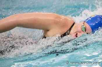 Arlington residents enjoy standout swimming seasons for Delaware
